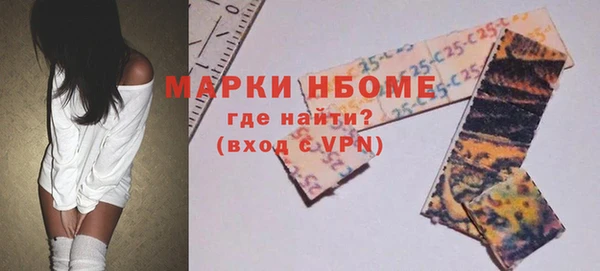 дурь Инсар