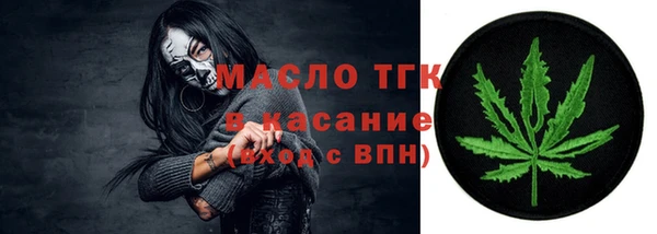 дурь Инсар