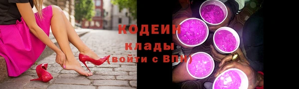 бошки Инта