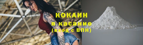 бошки Инта