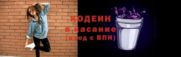 дурь Инсар