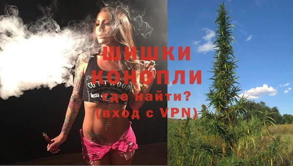 дурь Инсар
