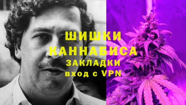 дурь Инсар