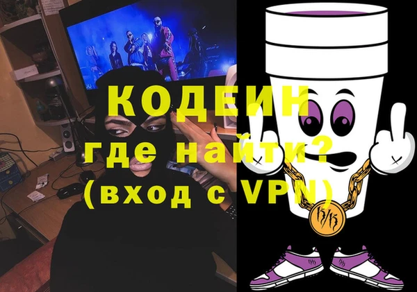 бошки Инта