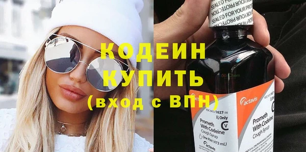 дурь Инсар