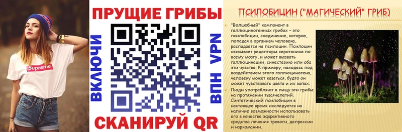 Галлюциногенные грибы Psilocybine cubensis  Купить закладки  Ветлуга 